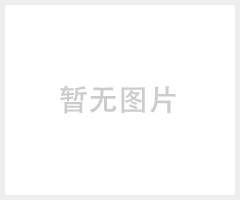 E光脱毛仪器（0086）